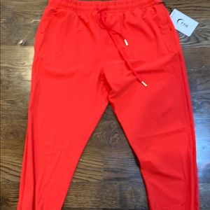 Zyia Everywhere Zipper Joggers